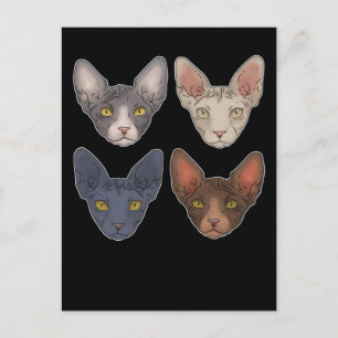 Sphynx Katt Present För Män Sphynx Katt Vykort