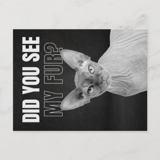 Sphynx Katt Sarksastisk Päls Humor Illustration Vykort