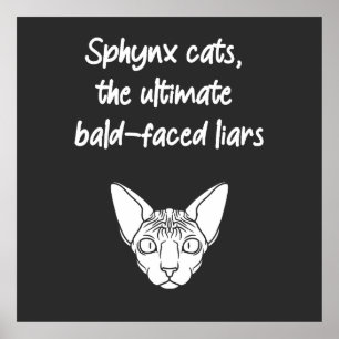 Sphynx-katter, de ultimata Bald-Faced Liars Poster