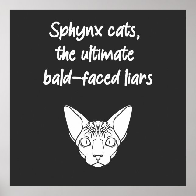 Sphynx-katter, de ultimata Bald-Faced Liars Poster (Framsidan)