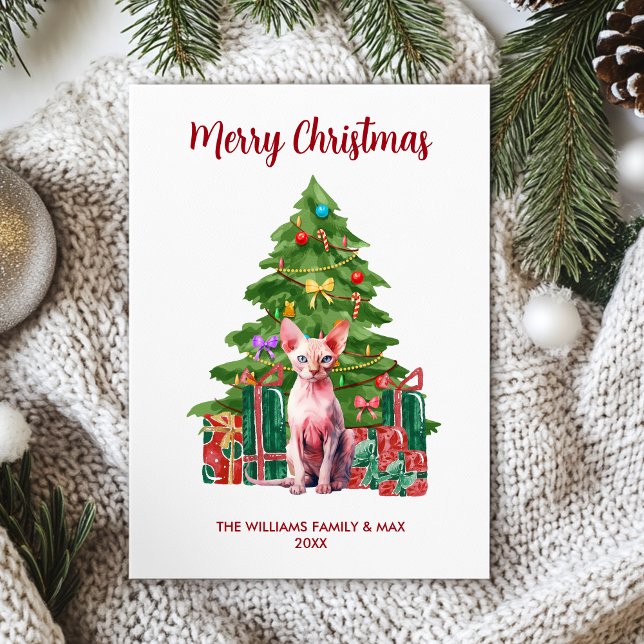 Sphynx Kattfamilj Jul Julkort (Skapare uppladdad)