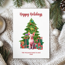 Sphynx Kattfamilj Jul