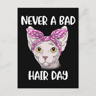 Sphynx - kattgåvor för kvinnor och Manar - sphynx  Vykort