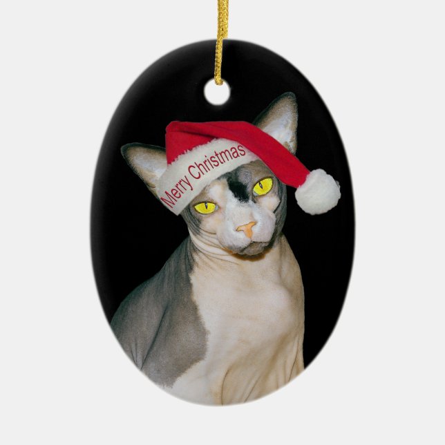 Sphynx kattNinja Santa jul Julgransprydnad Keramik (Framsidan)