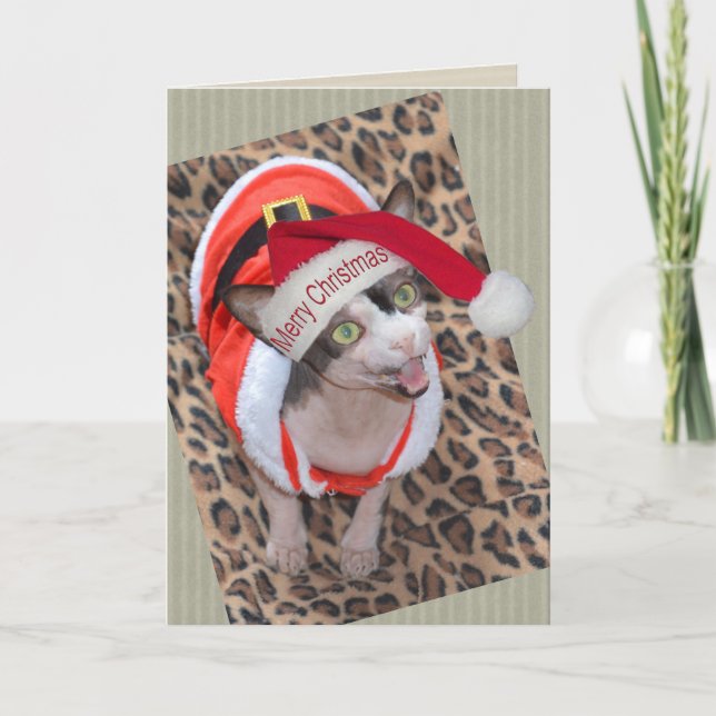 Sphynx kattNinja Santa jul Kort (Framsida)