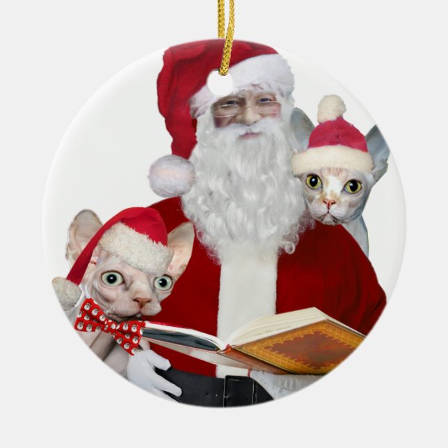 Sphynx kattprydnadar julgransprydnad keramik (Framsidan)