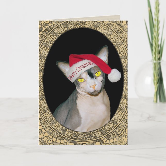 Sphynx kattSanta jul Kort (Framsida)