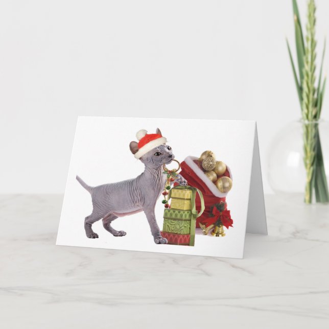 Sphynx kattunge ChristmasCards Helgkort (Framsida)