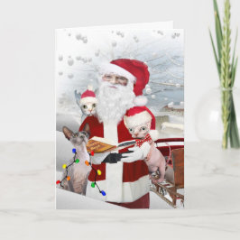 Sphynx kattunge Look på Santas bok Helgkort