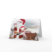 Sphynx kattungejul med Santa