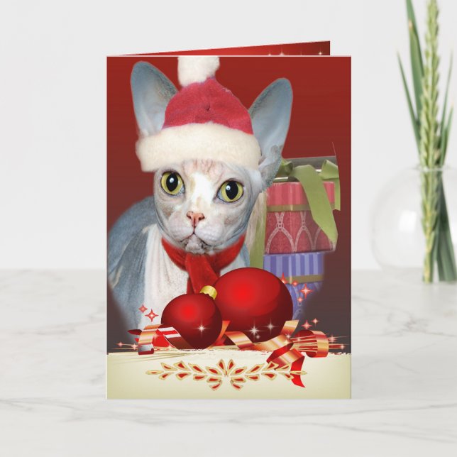 Sphynx kattungejulkort helgkort (Framsida)