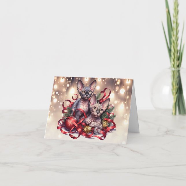 Sphynx Kittens julkort Kort (Framsida)