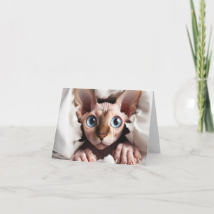 Sphynx-kort för alla tillfällen kort