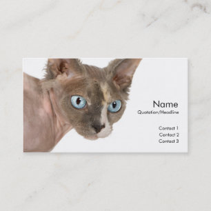 Sphynx-profilkort Visitkort