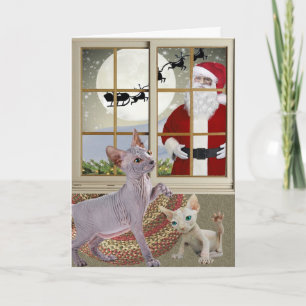 Sphynx som håller ögonen på för Santa konst Helgkort