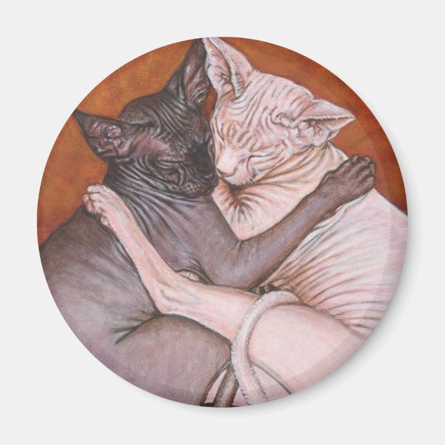Sphynx Sphinx Cat Cats Nap Time Magnet (Framsidan)