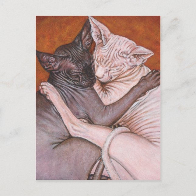 Sphynx Sphinx Cat Cats Nap Time Vykort (Framsida)