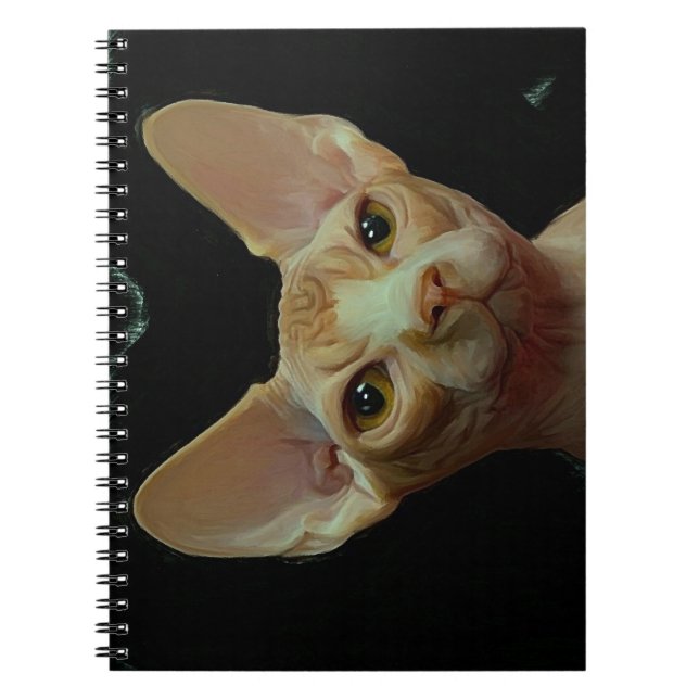 sphynxkatt anteckningsbok (Framsidan)