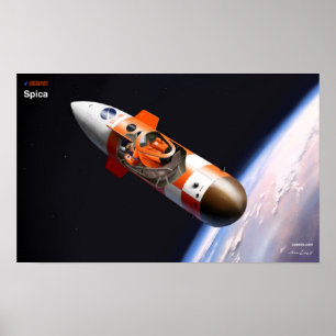 Spicakapselcutaway Poster