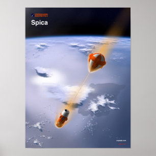 Spicareentry Poster