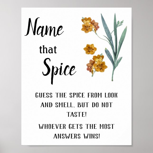 "Spice Up: Namn that Spice Möhippa Game" Poster (Framsidan)