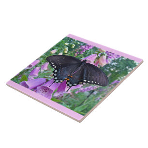 Spicebush Butterfly på foxhandskar Kakelplatta