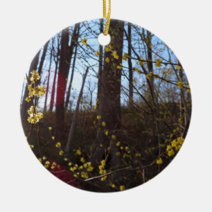 Spicebush Flowers i Vår Julgransprydnad Keramik