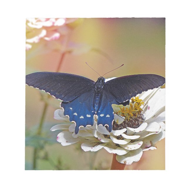 Spicebush Swallowtail Anteckningsblock (Framsida)