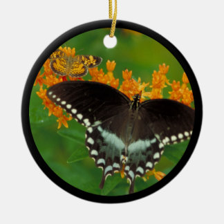 Spicebush Swallowtail Butterfly Julgransprydnad Keramik