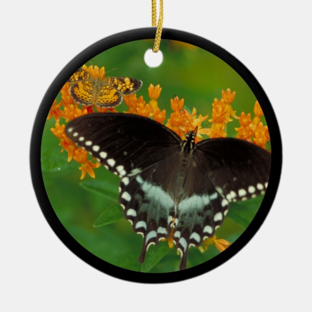 Spicebush Swallowtail Butterfly Julgransprydnad Keramik (Framsidan)