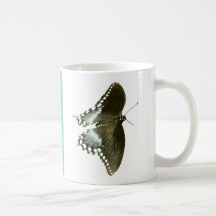 Spicebush Swallowtail Mugg