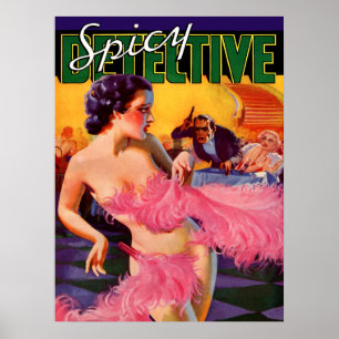 Spicy detektiv poster