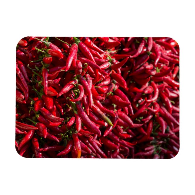 Spicy Red Chili i staden Kalocsa Magnet (Horisontell)