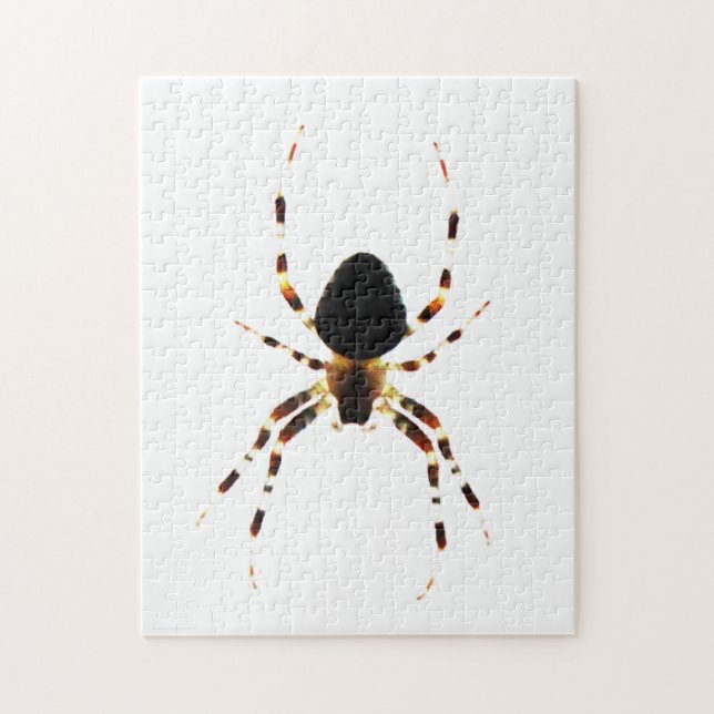 Spider 11x14 252pc jpcn pussel (Vertikal)