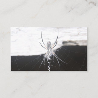 Spider-Affärskort Visitkort