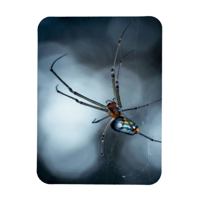 Spider Älskare | Beauty Spider with Webss Magnet (Vertikal)