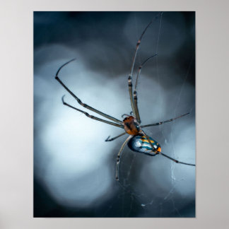 Spider Älskare | Beauty Spider with Webss Poster