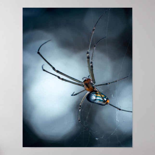 Spider Älskare | Beauty Spider with Webss Poster (Framsidan)