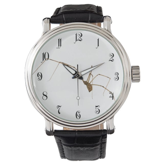 Spider Armbandsur (Framsida)