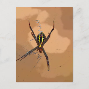 SPIDER BLACK OCH GULT QUEENSLAND AUSTRALIA VYKORT