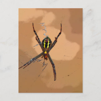 SPIDER BLACK OCH GULT QUEENSLAND AUSTRALIA VYKORT