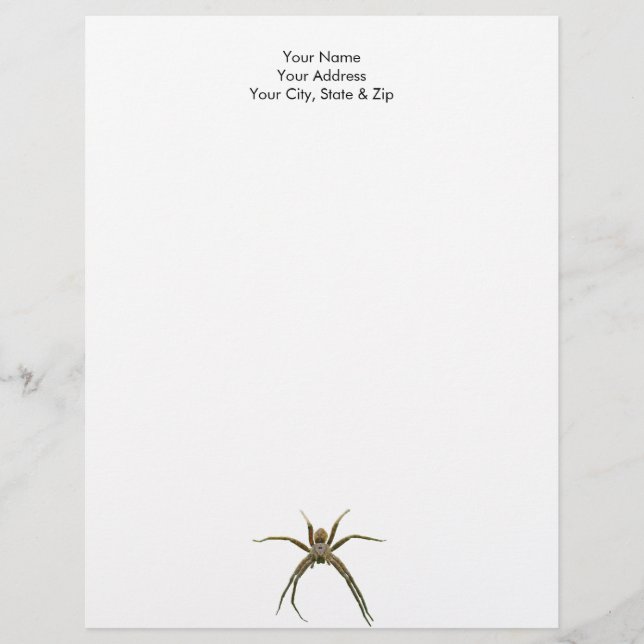 Spider Brevhuvud (Framsida)