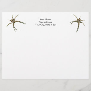 Spider Brevhuvud