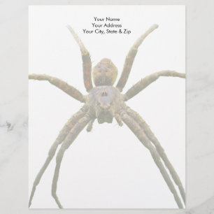 Spider Brevhuvud