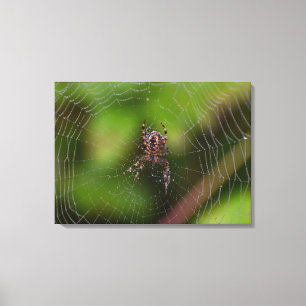Spider Canvastryck