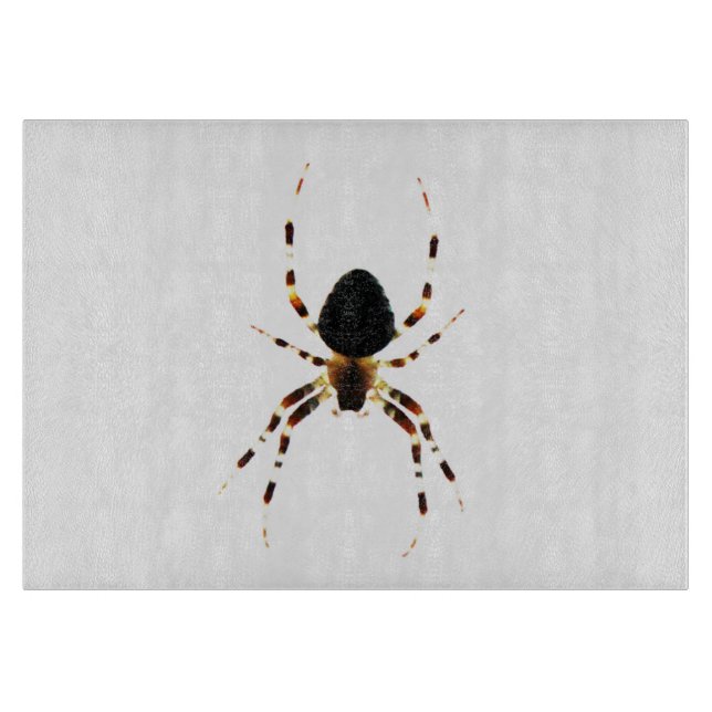 Spider cbcna (Framsidan)