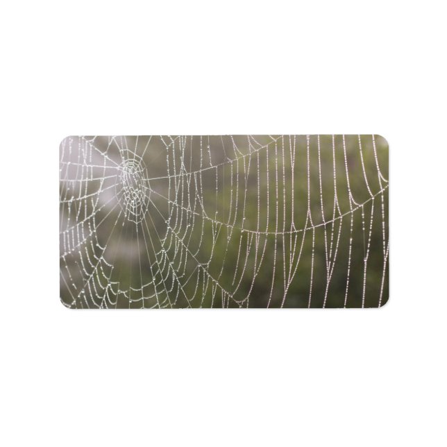 Spider Cobweb Adressetikett (Framsidan)