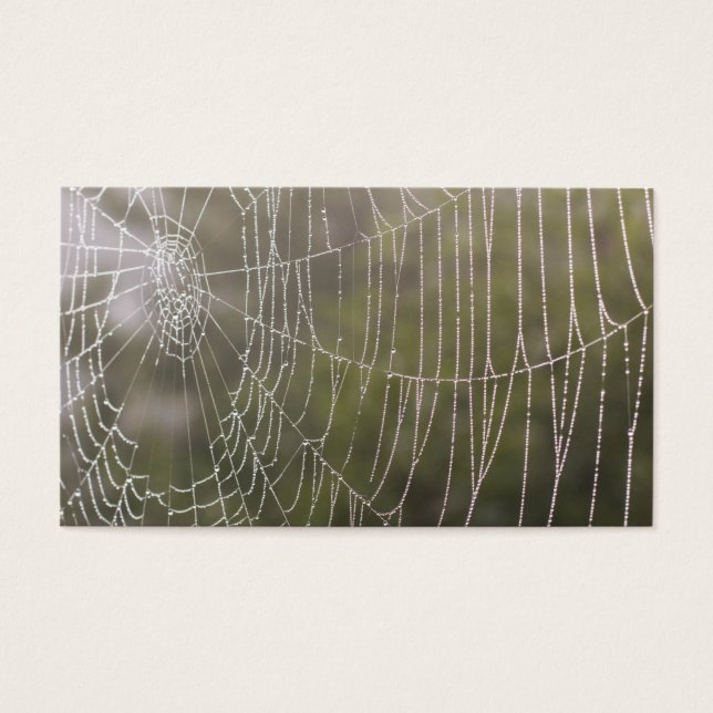 Spider Cobweb Visitkort (Framsidan)
