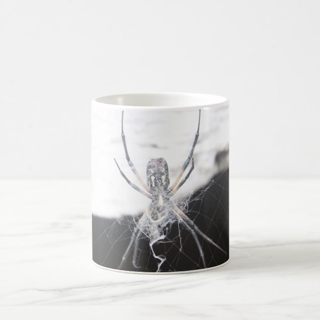 Spider Coffee Mugg (Center)