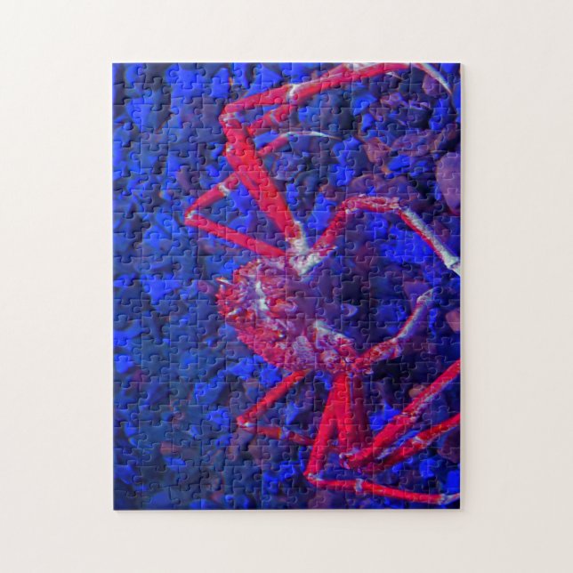 Spider Crabs. Pussel (Vertikal)